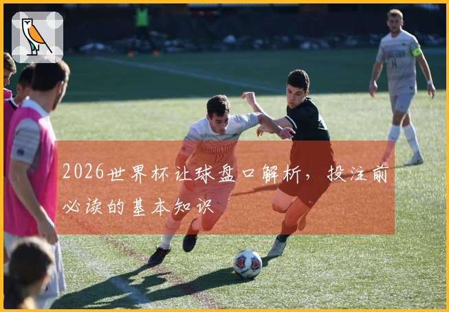 2026世界杯让球盘口解析，投注前必读的基本知识