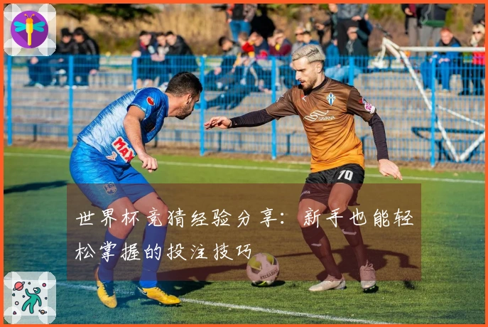 世界杯竞猜经验分享：新手也能轻松掌握的投注技巧