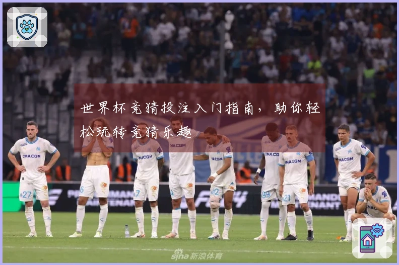 世界杯竞猜投注入门指南，助你轻松玩转竞猜乐趣