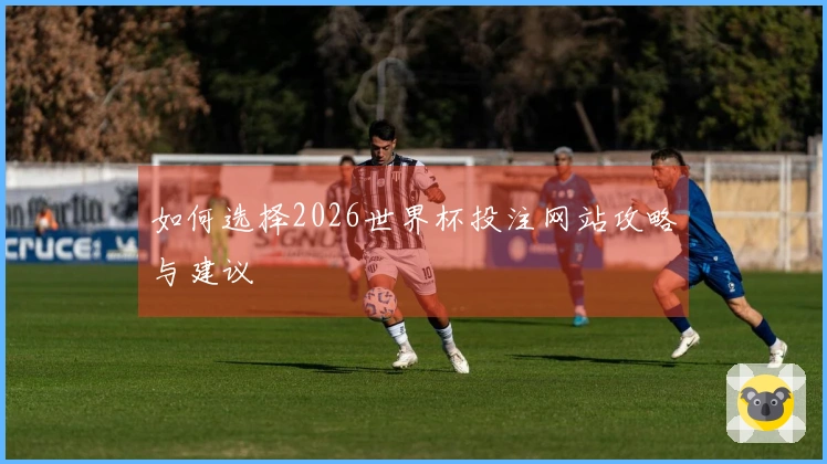 如何选择2026世界杯投注网站攻略与建议
