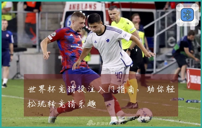 世界杯竞猜投注入门指南，助你轻松玩转竞猜乐趣