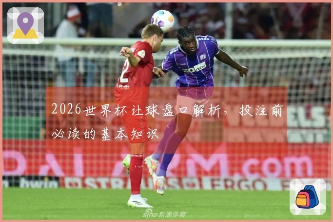 2026世界杯让球盘口解析，投注前必读的基本知识